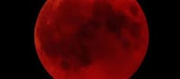 🌕 Moon Will Turn Red on Holi Eve for ~58 Minutes